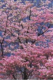 冒险解谜游戏《Sopa》公布 2023年登陆微软平台